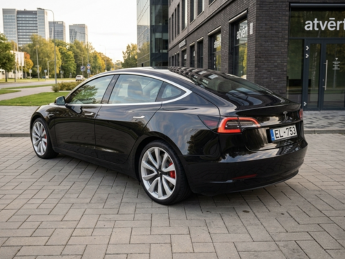 TESLA Model 3 Performance '22
